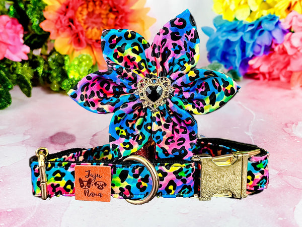 Dog collar with flower - rainbow leopard