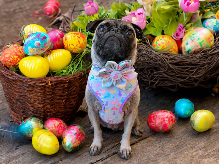 Easter plaid dog harness leash set/ spring summer tartan dog harness and lead/ boy girl dog harness vest/ custom fabric dog harness