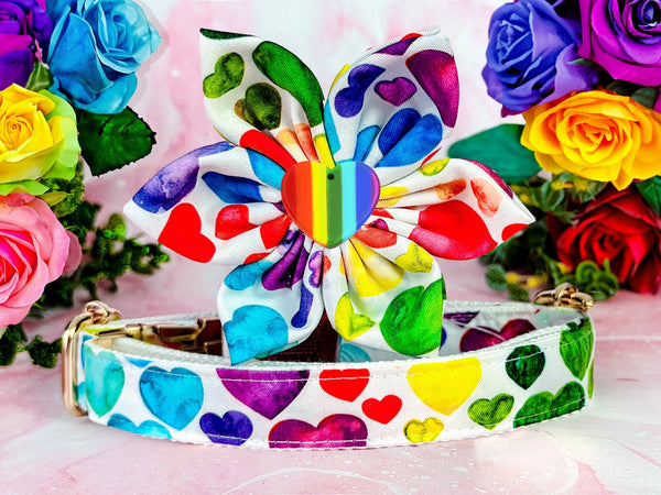 Dog collar with flower - rainbow hearts