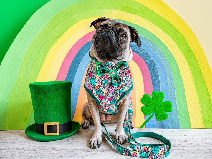 St Patrick day rainbow dog harness and leash set/ shamrock clover dog harness and lead/ boy girl dog harness vest/ custom st patty harness