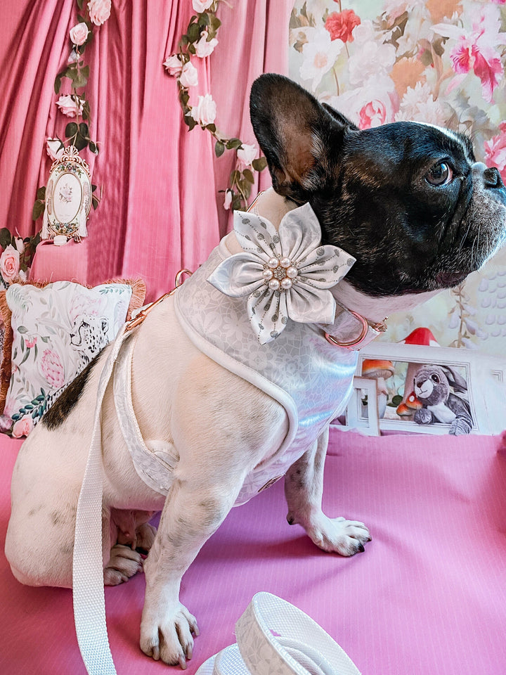Wedding Flower dog collar/ White Floral dog collar/ Small girl dog collar/ medium large dog collar/ Japanese Kimono collar/ puppy collar