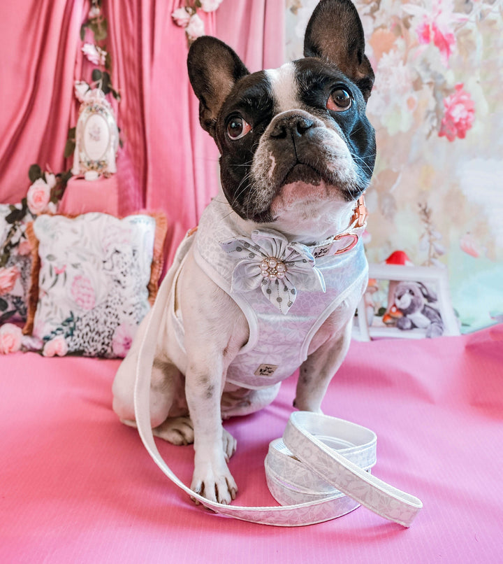 Dog harness set - Wedding Lace and flower