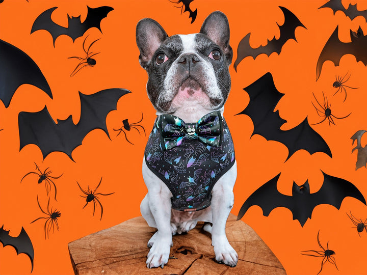 Halloween bat rainbow dog harness vest/ boy girl dog harness/ black cute dog harness/ small medium puppy dog harness/ soft fabric harness