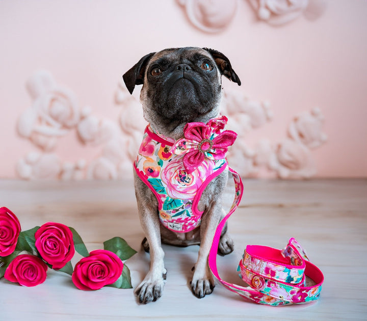 Dog harness - Spring glitter rose and wildflowers
