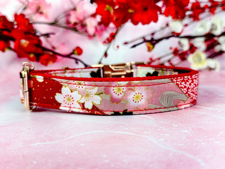 japanese kimono dog collar - Red sakura