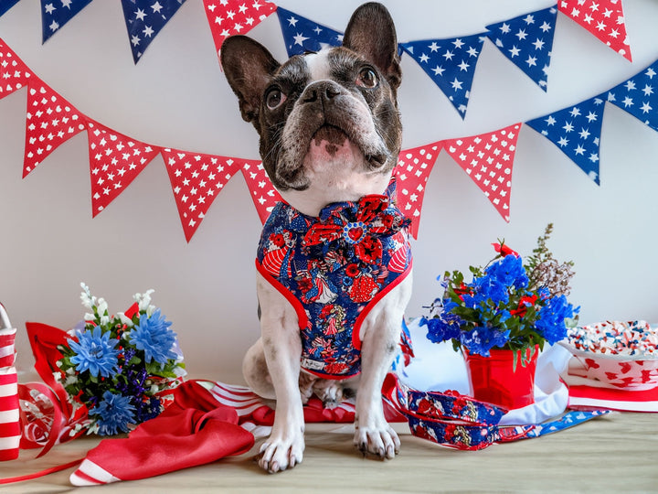 Patriotic dog harness - Princesses Celebration