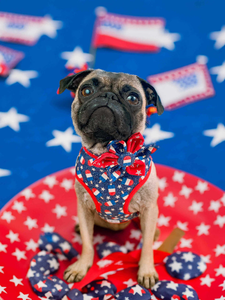 Patriotic dog harness - Glitter popsicle