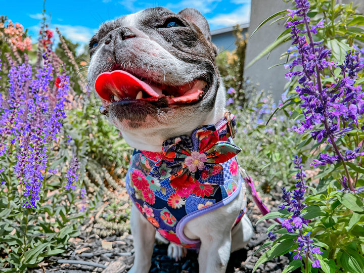 japanese kimono dog collar flower/ floral girl collar/ cherry blossom dog collar/ white purple large small dog collar/ female puppy collar