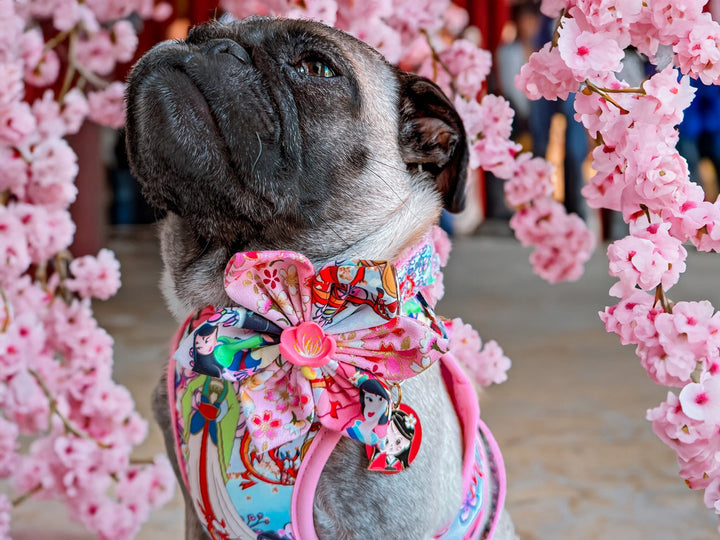 Dog collar with flower - Princess and beast