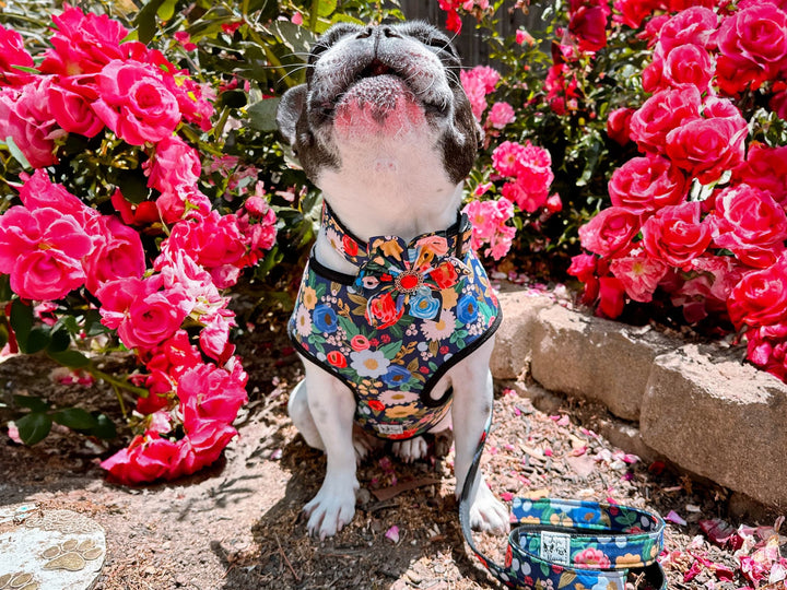 Rifle paper co dog harness - Vintage Blossom Blue METALLIC - Vintage Garden