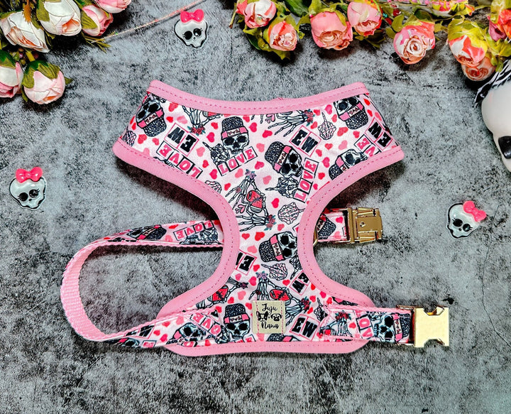 Valentine dog harness - Skull and hearts