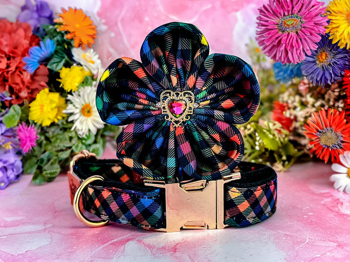 Rainbow plaid dog collar flower/ pride dog collar/ summer spring collar/ girl tartan dog collar/ large small medium collar/ easter collar