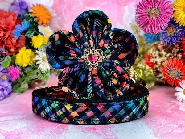 Rainbow plaid dog collar flower/ pride dog collar/ summer spring collar/ girl tartan dog collar/ large small medium collar/ easter collar