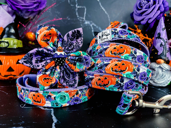 Purple Halloween rose flower pumpkin dog harness and leash set/ floral jack o lantern dog harness vest/ Custom autumn dog harness and lead