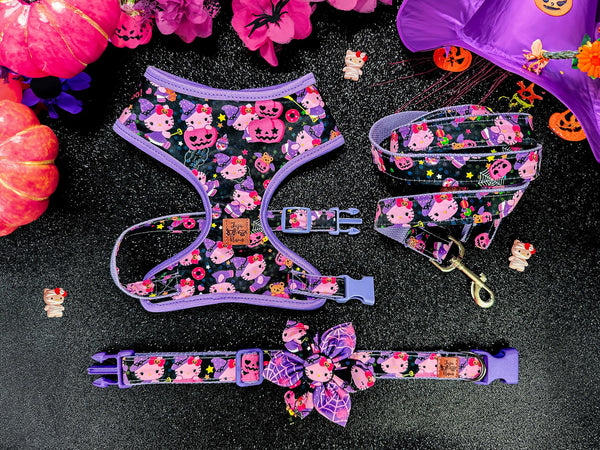 Halloween kawaii cat witch dog harness leash set/ day of the dead dog harness vest/ girl flower harness and lead/ cute harness