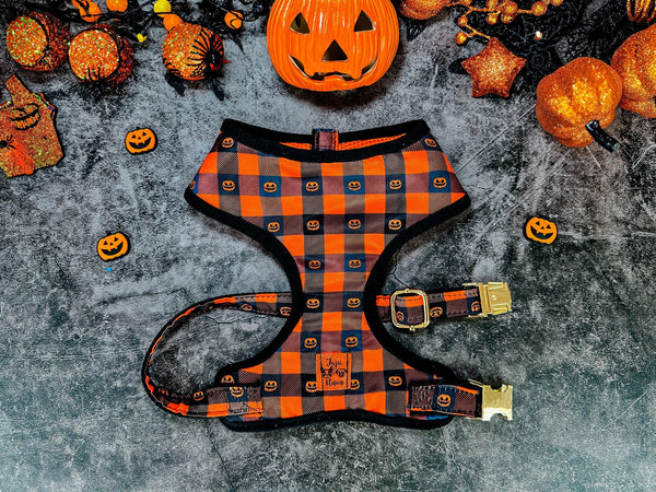 Halloween Dog harness - Plaid and Pumpkin