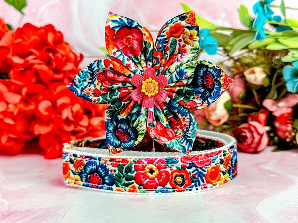 Autumn rainbow floral dog collar flower/ Mexican tropical dog collar/ summer spring dog collar/ fall dog collar/ small large medium collar