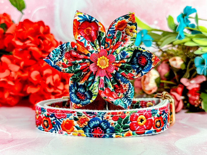 Autumn rainbow floral dog collar flower/ Mexican tropical dog collar/ summer spring dog collar/ fall dog collar/ small large medium collar