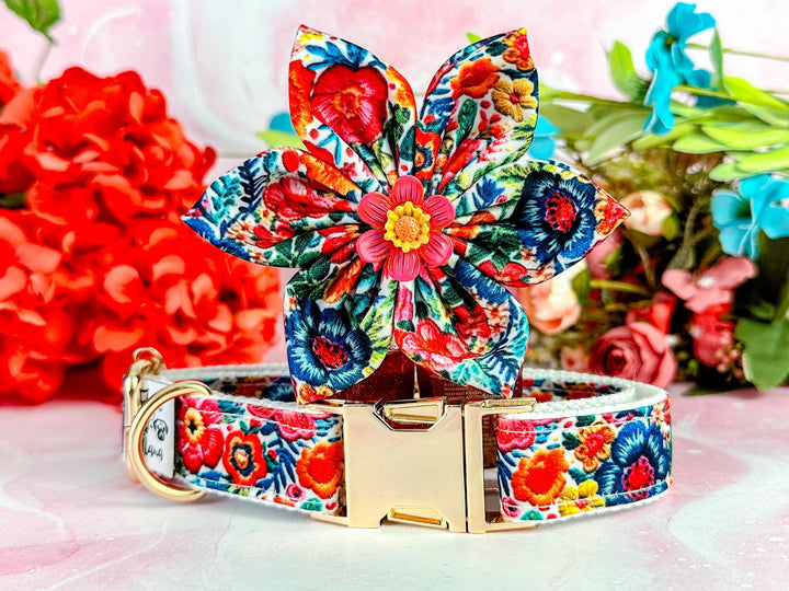 Autumn rainbow floral dog collar flower/ Mexican tropical dog collar/ summer spring dog collar/ fall dog collar/ small large medium collar