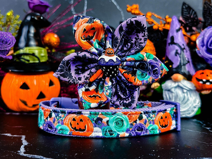 Halloween dog collar with flower - Pumpkin and rose flowers