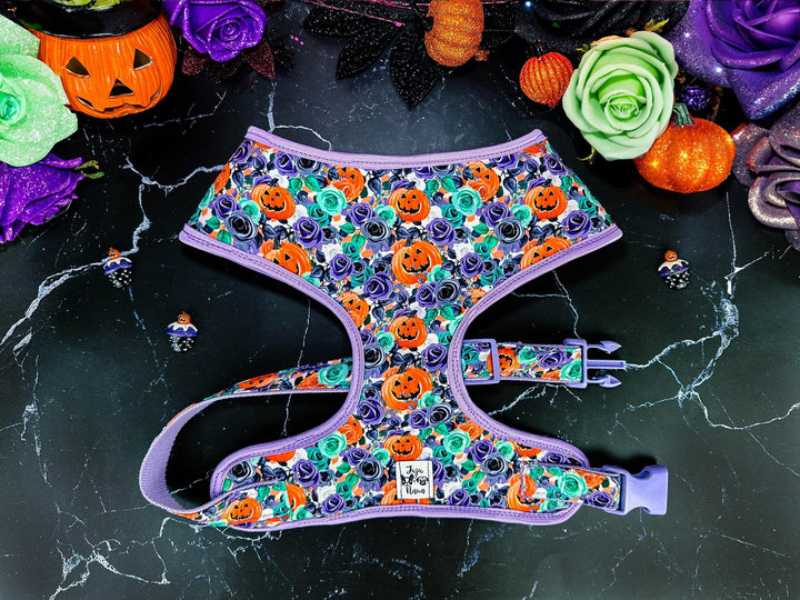 Purple Halloween rose flower pumpkin dog harness and leash set/ floral jack o lantern dog harness vest/ Custom autumn dog harness and lead