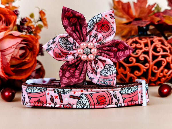 Dog collar with Flower - coffee and pumpkin spice