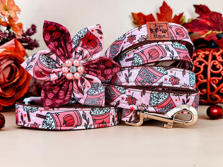 Dog collar with Flower - coffee and pumpkin spice