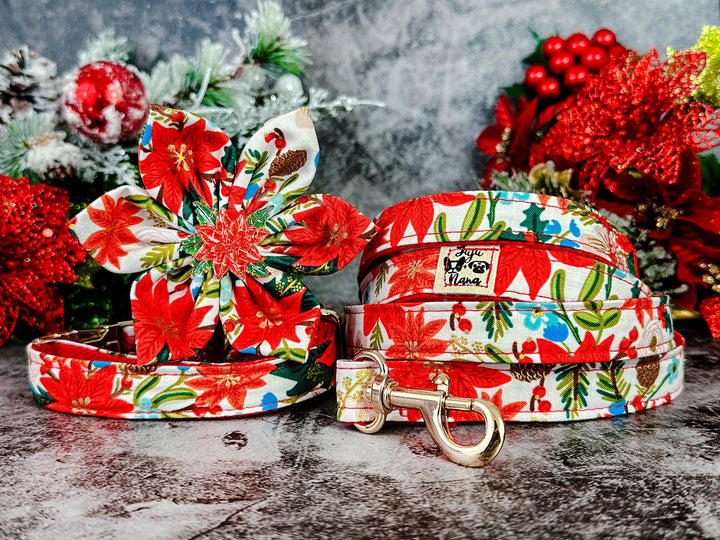 Rifle Paper Co Dog collar with flower - Christmas poinsettias (White)