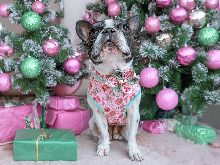 Christmas dog harness - Cookies and Milk