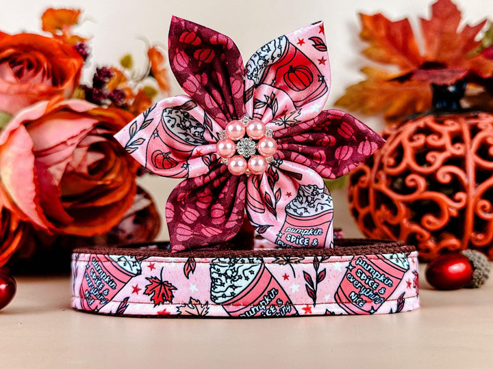 Dog collar with Flower - coffee and pumpkin spice