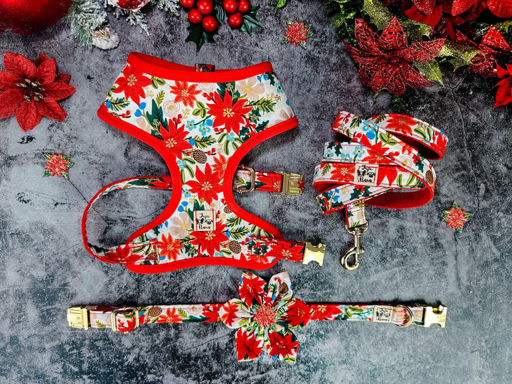 Rifle Paper Co dog harness - white christmas poinsettia - Red Trim