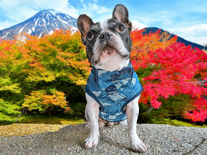 Japanese Kimono Dog harness - Mountains