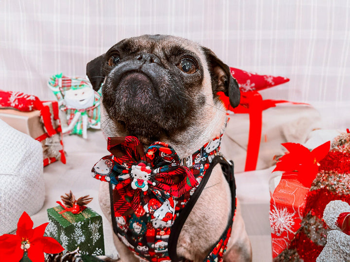 Christmas dog collar with flower - Kawaii Kitty