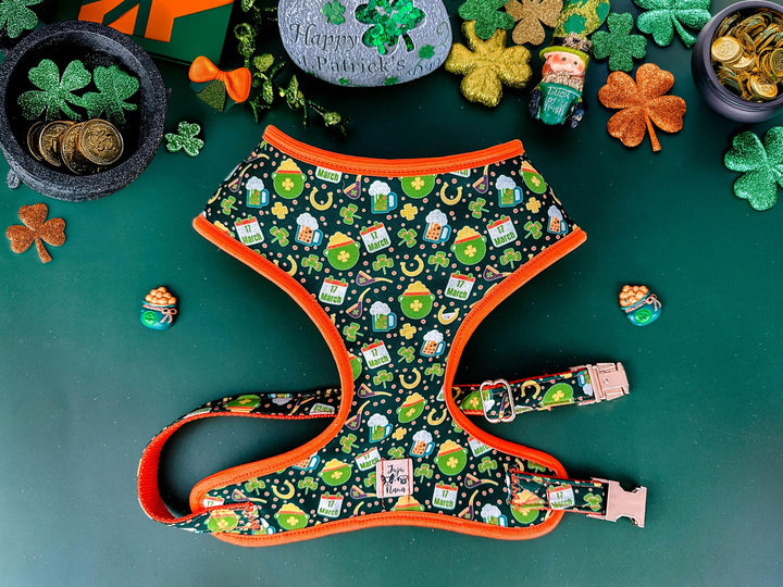 St. Patrick's Day dog harness - Celebration