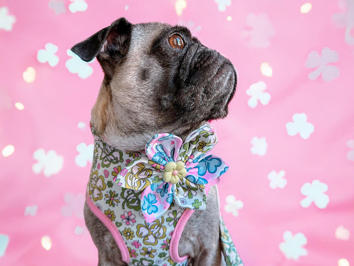 pink St Patrick's day shamrock dog collar flower/ girl floral clover collar/ st paddy st patty collar/ large small puppy fabric dog collar