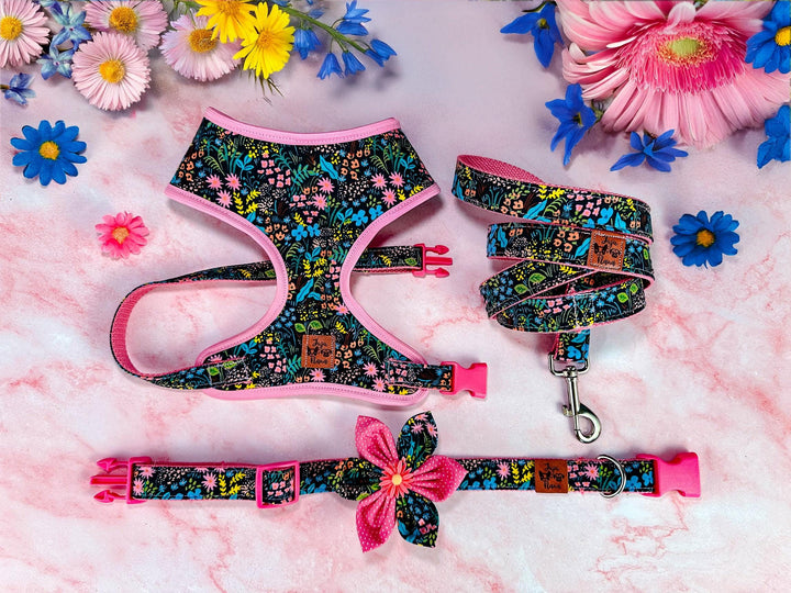 Rifle Paper Co Dog harness set - Meadow Black