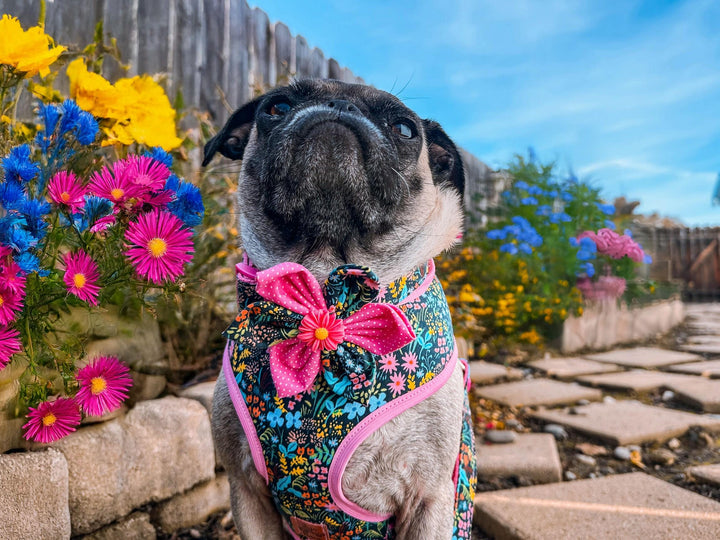 Rifle Paper Co dog collar with flower - Meadow Black
