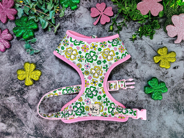 St. Patrick's Day dog harness - Shamrock and flower - Pink Trim