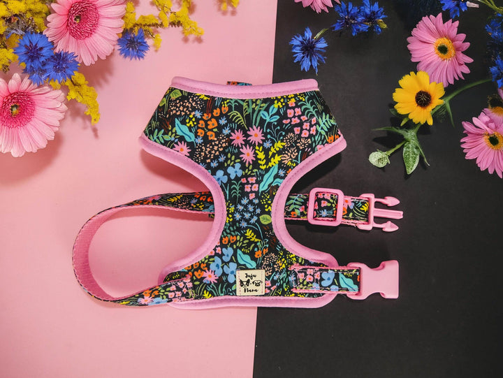 Rifle Paper Co Dog harness set - Meadow Black