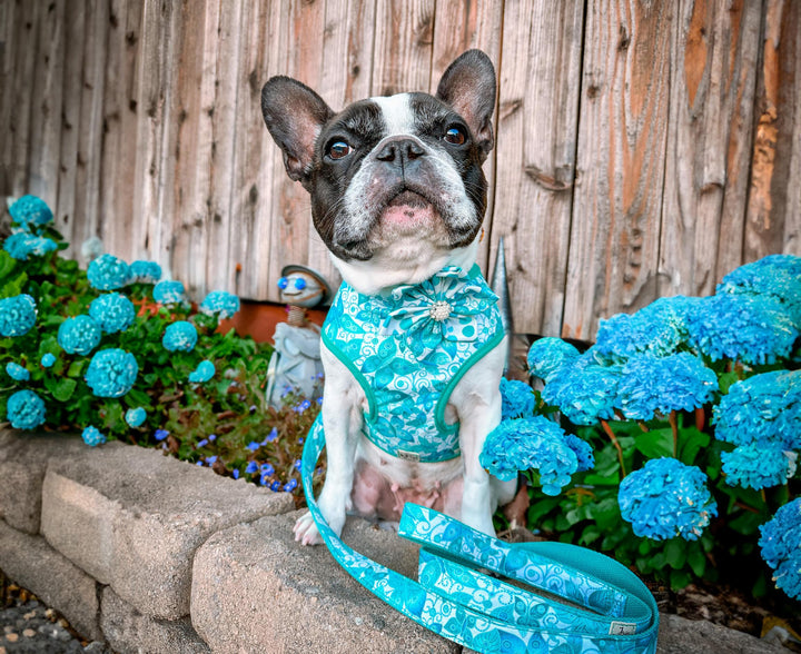 black gold Butterflies floral dog harness vest/ butterfly flower dog harness/ Japanese kimono metallic dog harness/ girl boy fabric harness