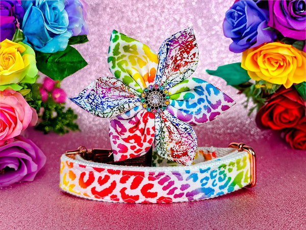 rainbow leopard dog collar flower/ lisa frank 90's girl dog collar/ cheetah pride dog collar/ Large medium dog collar/ small Puppy collar