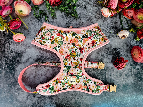 Rifle Paper Co Dog harness - GARDEN PARTY PETITE Rose