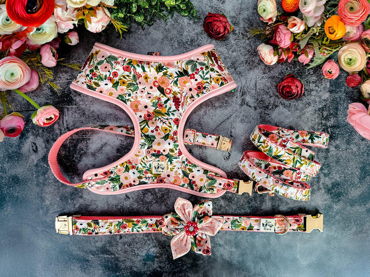 Rifle Paper Co Dog harness - GARDEN PARTY PETITE Rose
