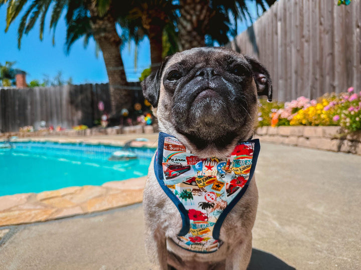 Tropical beach vacation dog harness vest/ Summer Hawaii hibiscus flower dog harness