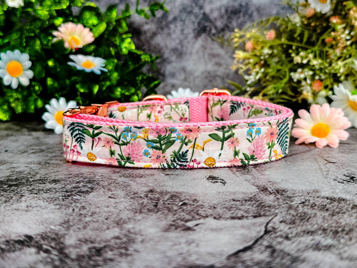 Rifle Paper Co dog collar - Daisy and wildflower