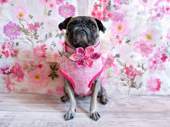 Rifle Paper Co Dog harness - Primavera - Moxie Floral - Neon Pink Neon Pigment