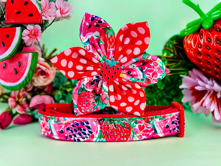 Dog collar with flower - Preppy strawberry and watermelon