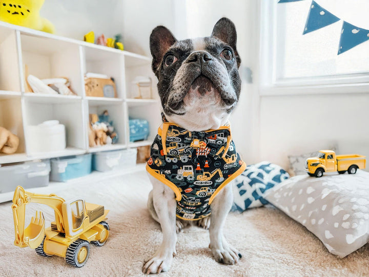 Dog harness - excavator and transportation