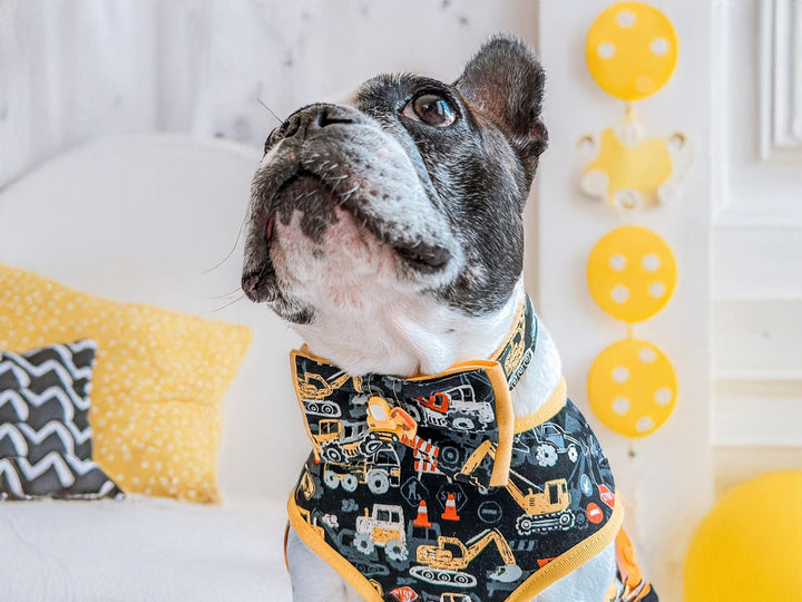 Dog collar with bow tie - excavator and transportation