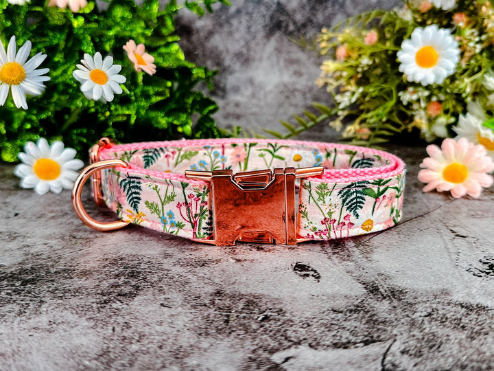 Rifle Paper Co dog collar - Daisy and wildflower